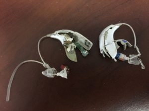 dog chewed hearing aids